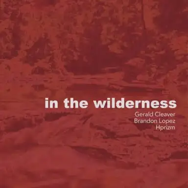 In the Wilderness