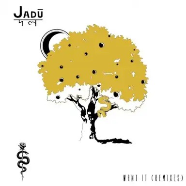 Want It (remixes)