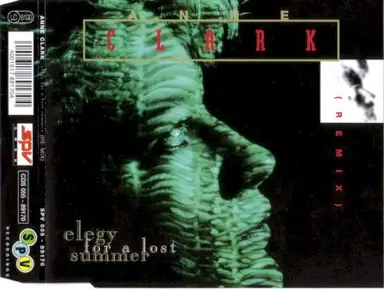 Elegy for a Lost Summer (Remix)