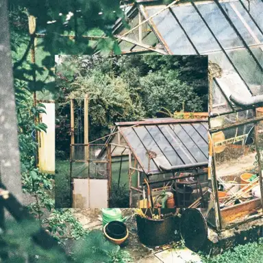 Greenhouse EP