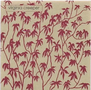 Virginia Creeper