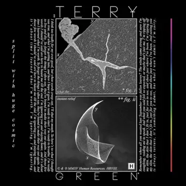 TERRY GREEN / HUGE COSMIC split EP