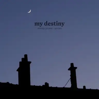 my destiny