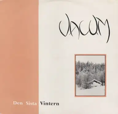 Den sista vintern