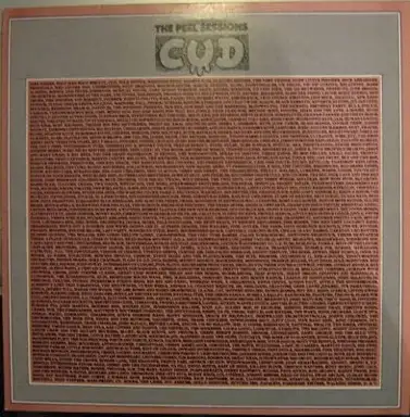 The Peel Sessions