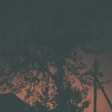 Tiems kurių niekaip rasti negaliu (live)