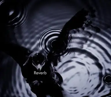 Reverb