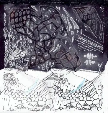 Emergence Vol. 1