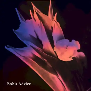 bob's advice