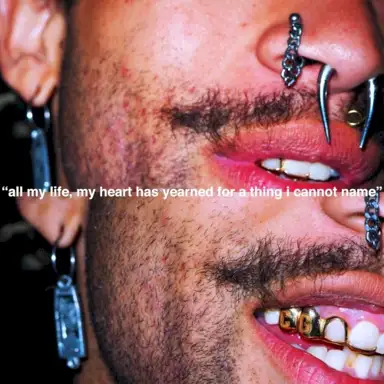 All My Life, My Heart Has Yearned for a Thing I Cannot Name