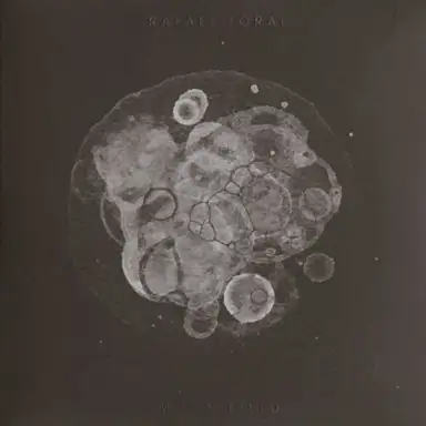 Moon Field