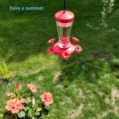 have a summer
