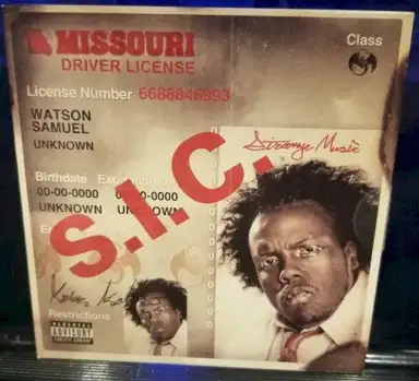 S.I.C.