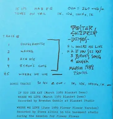 Daisy Chain Reaction 25th Anniversary Reissue Bonus Tracks