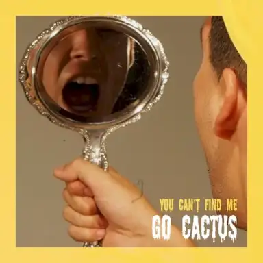 You Can't Find Me