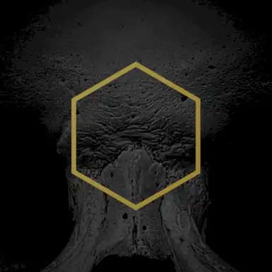 Primal (State of Being)