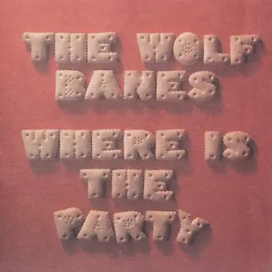 Where Is the Party