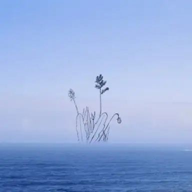 wander into