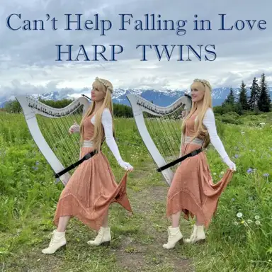 Can't Help Falling in Love
