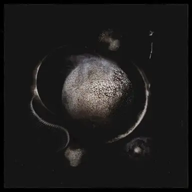 Vapula Omega