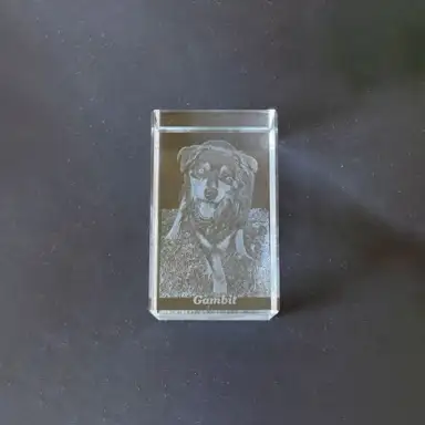 For Gambit