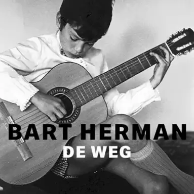 De weg