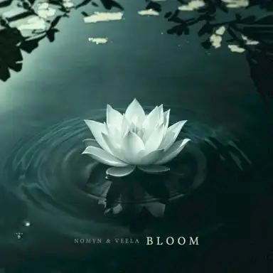 Bloom