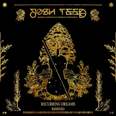 Recurring Dreams (Lowcation remix)