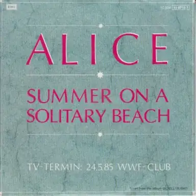 Summer on a Solitary Beach