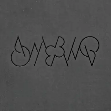 Ambiq 2