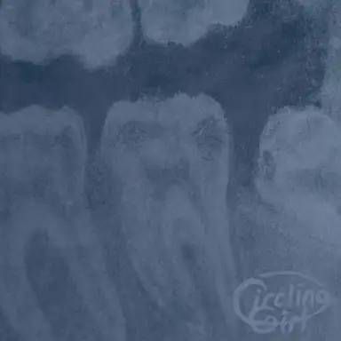 Teeth