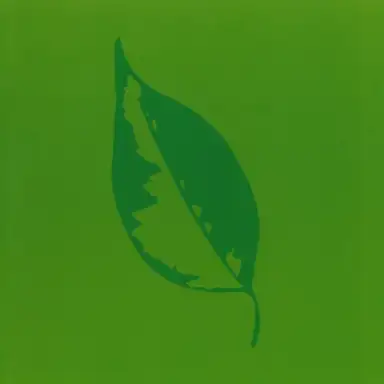Cyclorama Lift 3