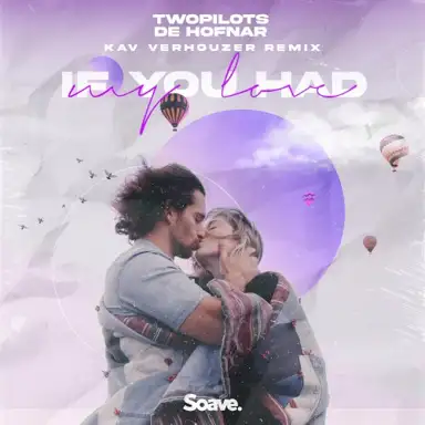 If You Had My Love (Kav Verhouzer remix)