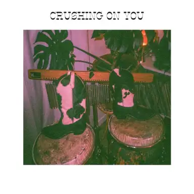 crushing on you