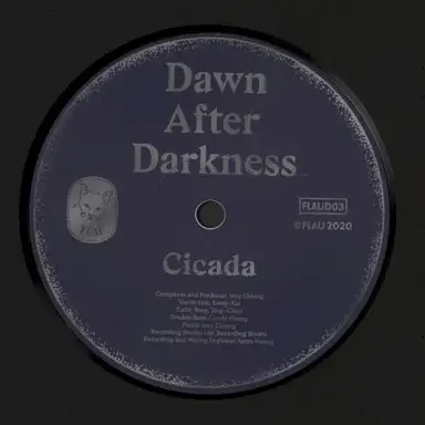 Dawn After Darkness