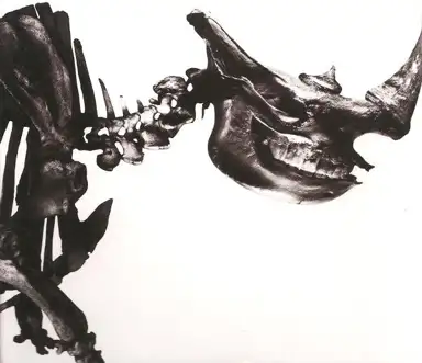 Mr.Children 1996–2000