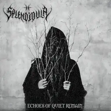 Echoes of Quiet Remain