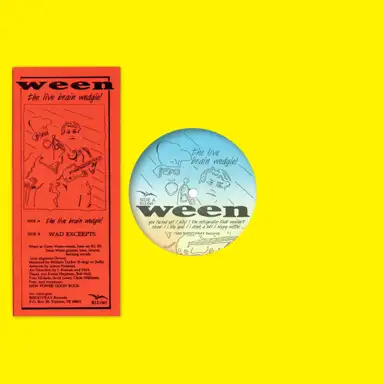 The Live Brain Wedgie! / Wad Excerpts