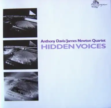 Hidden Voices