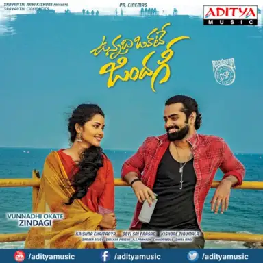 Vunnadhi Okate Zindagi