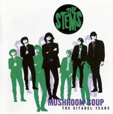Mushroom Soup (The Citadel Years)