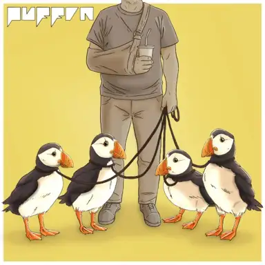 Puffin