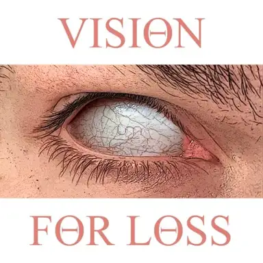 Vision For Loss