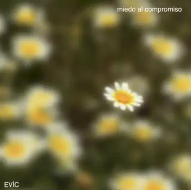 miedo al compromiso