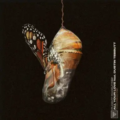 All Your Love (Remixes)