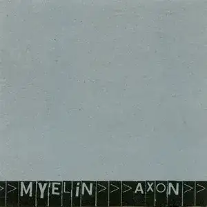 Axon