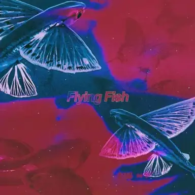 Flying Fish