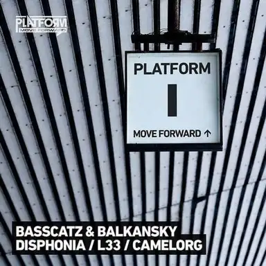 Platform 1