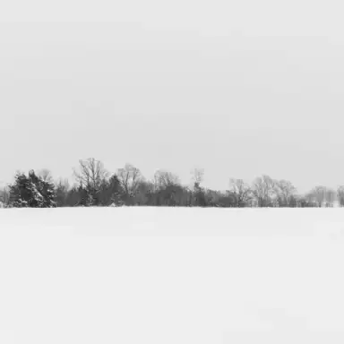 One Winter's Day