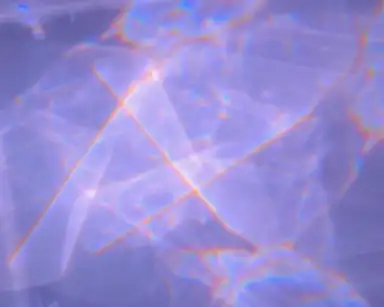 parallaxis forma